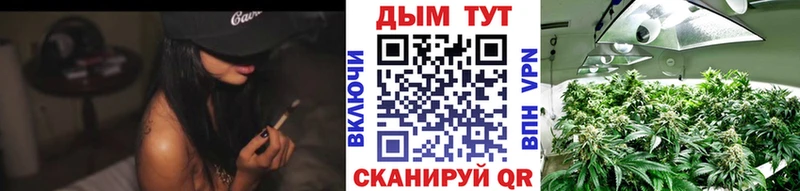 Купить наркоту Шуя Cocaine  Меф мяу мяу  СК  ГАШ 