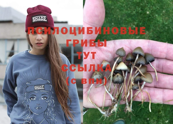 мяу мяу кристалл Алексин