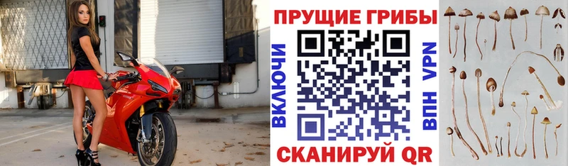 ОМГ ОМГ сайт  наркота  Шуя  Псилоцибиновые грибы прущие грибы 